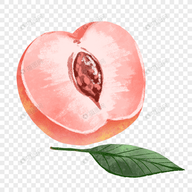WWW,se926·COM网站APPAPP应用