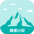 桃花视频APP应用